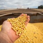 Com preferência chinesa à soja do Brasil do que a dos EUA, vendas batem recorde anual já em outubro, diz setor