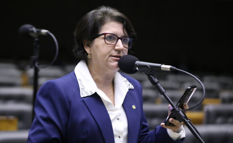 Discussão e Votação de Propostas Legislativas. Dep. Lenir de Assis (PT - PR)