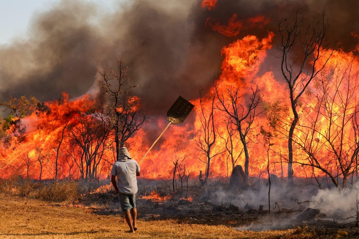 Ibama multa 242 pessoas por incêndios criminosos em 2024 – CartaCapital