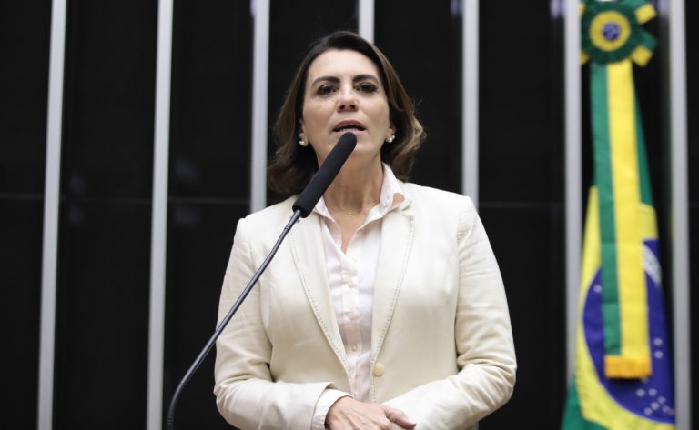 Discussão e votação de propostas. Dep. Rosana Valle (PL-SP)