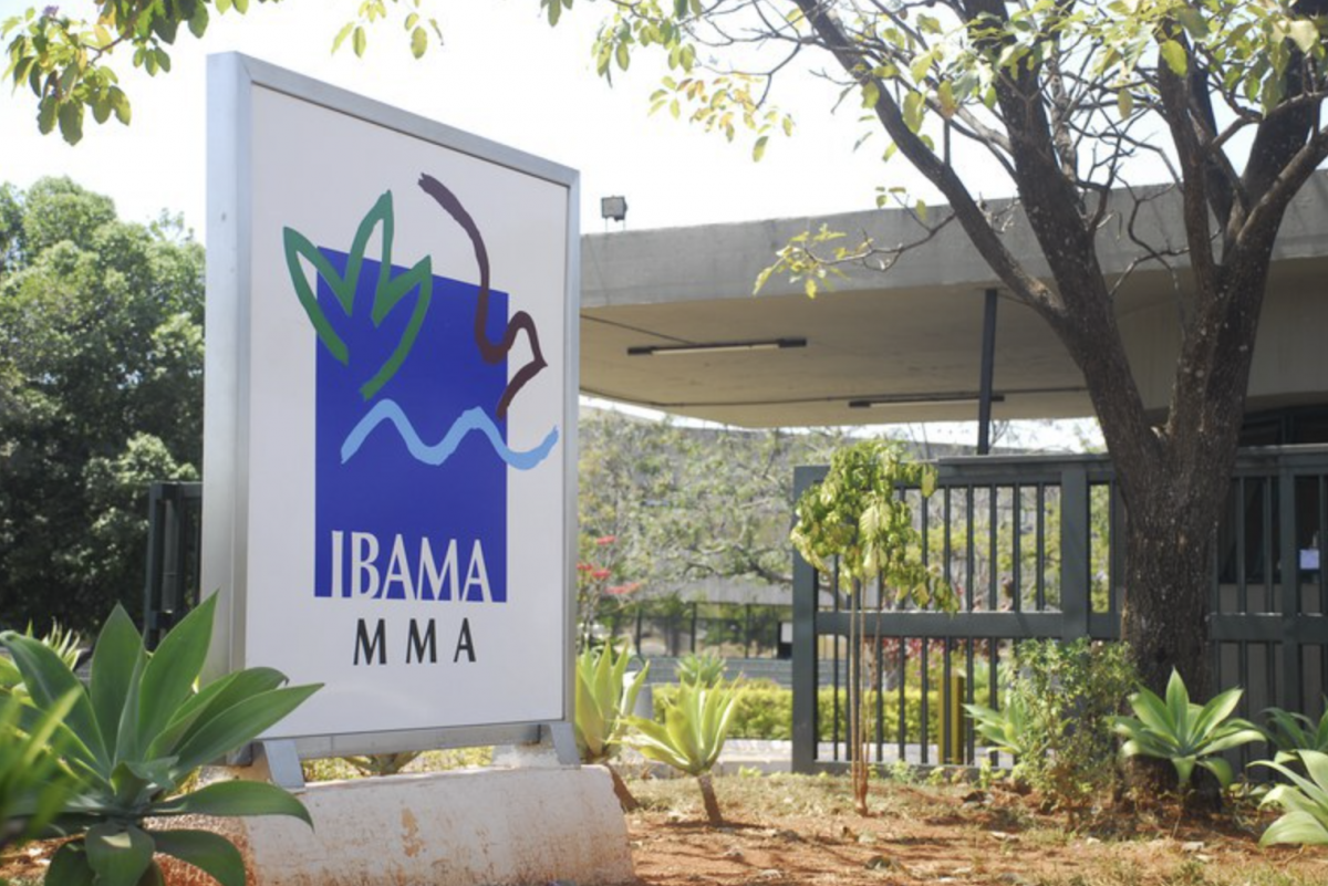 Servidores do Ibama condenam aprovação de plano da Petrobras na Foz do Amazonas: “Decisão política” – CartaCapital