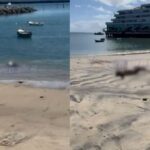 corpo de homem é resgatado na Praia da Preguiça; há suspeita de se tratar de passageiro que caiu de Ferry-Boat