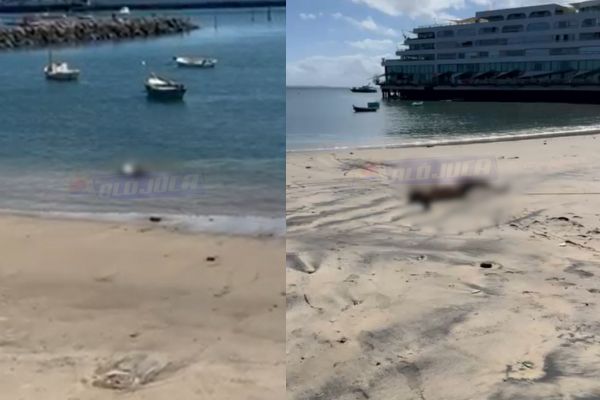 corpo de homem é resgatado na Praia da Preguiça; há suspeita de se tratar de passageiro que caiu de Ferry-Boat