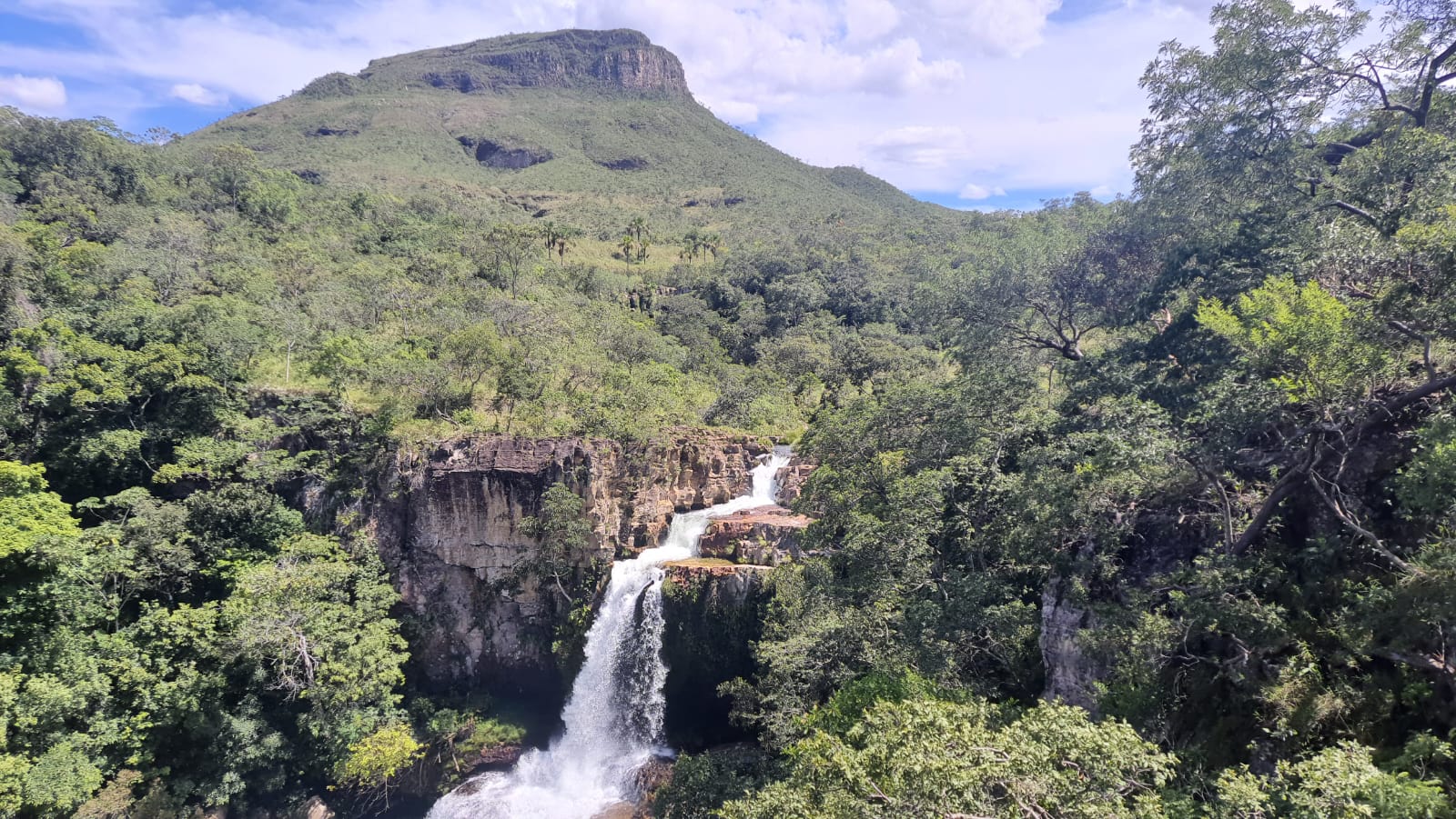 Avanço do desmatamento em Goiás ameaça território quilombola Kalunga – Brasil de Fato