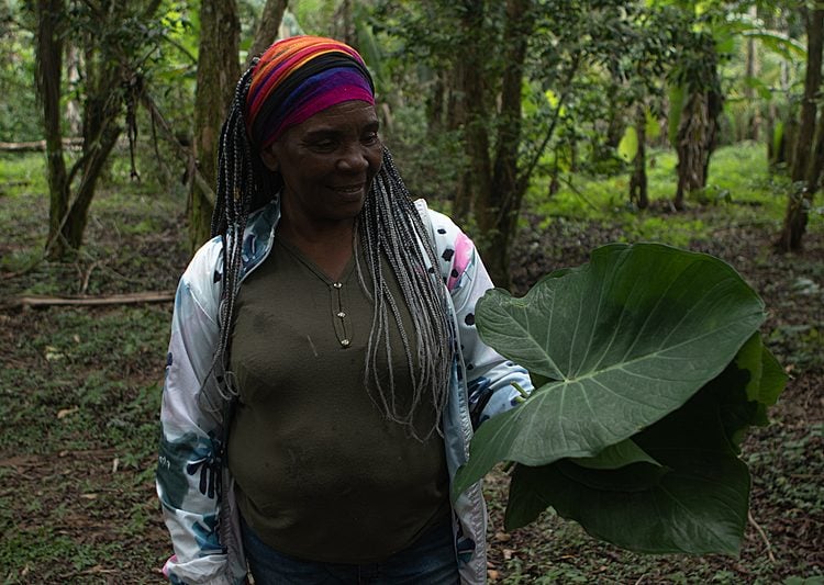 Bem Viver destaca resistência de comunidades tradicionais em meio à crise climática e degradação ambiental – Brasil de Fato