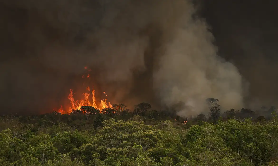 Câmara aprova aumento de punição a quem provocar incêndios florestais – Brasil de Fato