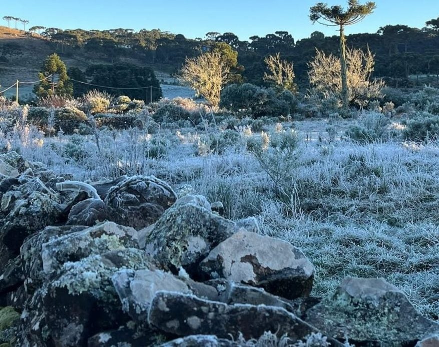Cidade em SC tem sensação térmica de 29 ºC negativos – CartaCapital