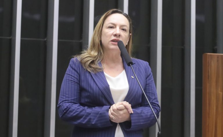 Discussão e votação de propostas legislativas. Dep. Delegada Adriana Accorsi (PT-GO)