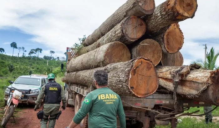 Governo federal anuncia financiamento recorde do Fundo Amazônia para combate ao desmatamento