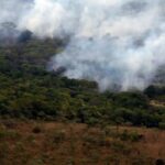 Justiça condena 5 pessoas por desmatamentos e invasões de terras públicas na Amazônia – CartaCapital