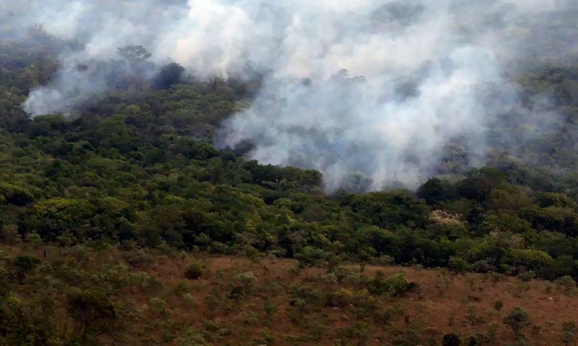 Justiça condena 5 pessoas por desmatamentos e invasões de terras públicas na Amazônia – CartaCapital