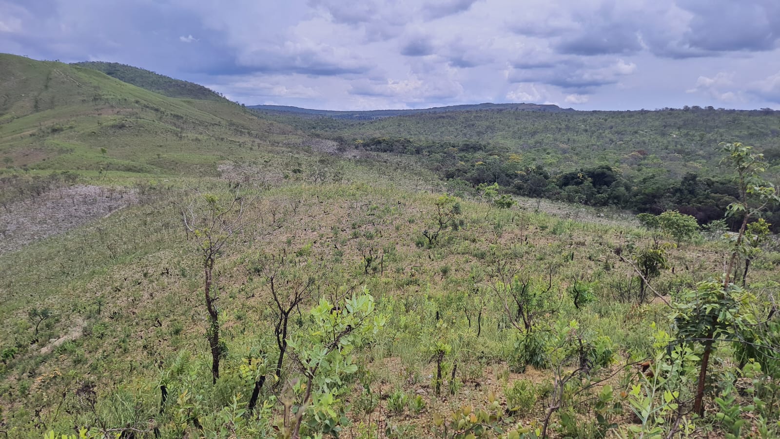 MPF entra com ação contra atividade agropecuária em território Kalunga – Brasil de Fato