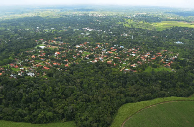 Pernambuco protesta nesta quinta-feira (5) contra o PL da Devastação e em defesa da APA Aldeia Beberibe; saiba como votaram os pernambucanos
