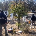 Polícia encontra 381 corpos amontoados em crematório no México – CartaCapital