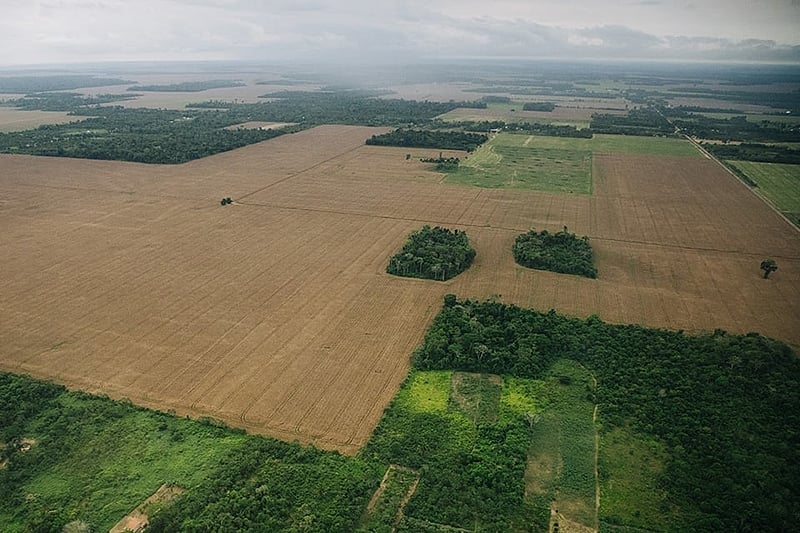 refém do PIB, governo atrasa agenda ecológica – Brasil de Fato