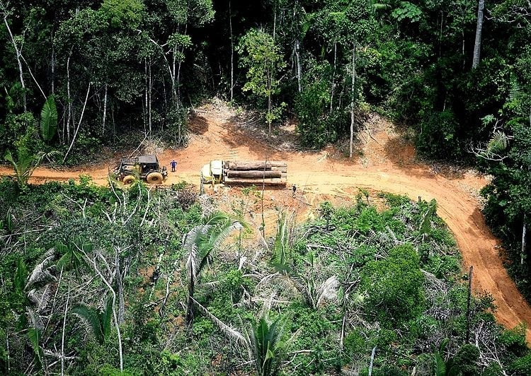 ‘Aproveitam brechas da lei para roubar terras públicas’, diz secretário do Observatório do Clima sobre grileiros