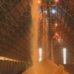 ANÁLISE: energia dos campos, o superpoder brasileiro subestimado | Agronegócios