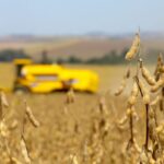 Balanço do semestre: aprovado uso do Fundo Social para ajudar agricultores atingidos por calamidades – Notícias