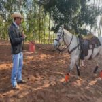 Cavalo também pode ser canhoto ou destro | Nosso Campo
