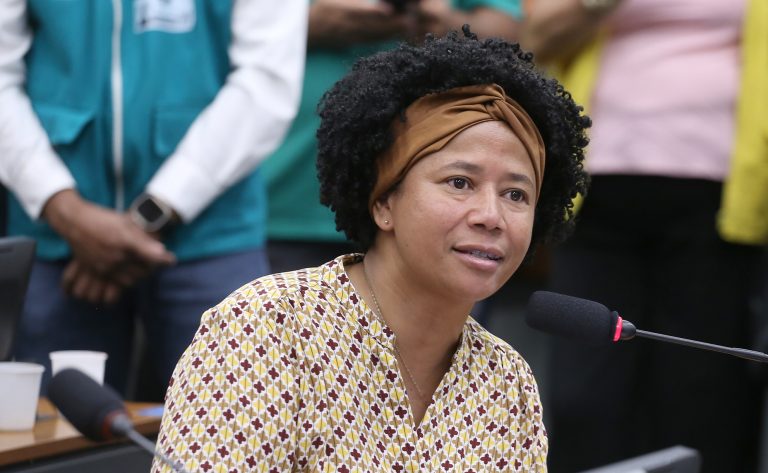 Audiência pública. Dep. Silvia Cristina (PP - RO)
