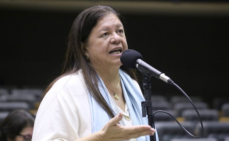 Discussão e Votação de Propostas Legislativas. Dep. Laura Carneiro (PSD - RJ)