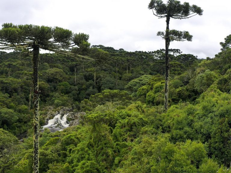 Deputados podem votar hoje o projeto que muda as regras do licenciamento ambiental - Notícias