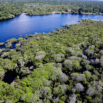 EUA acusam agro brasileiro de desmatamento ilegal