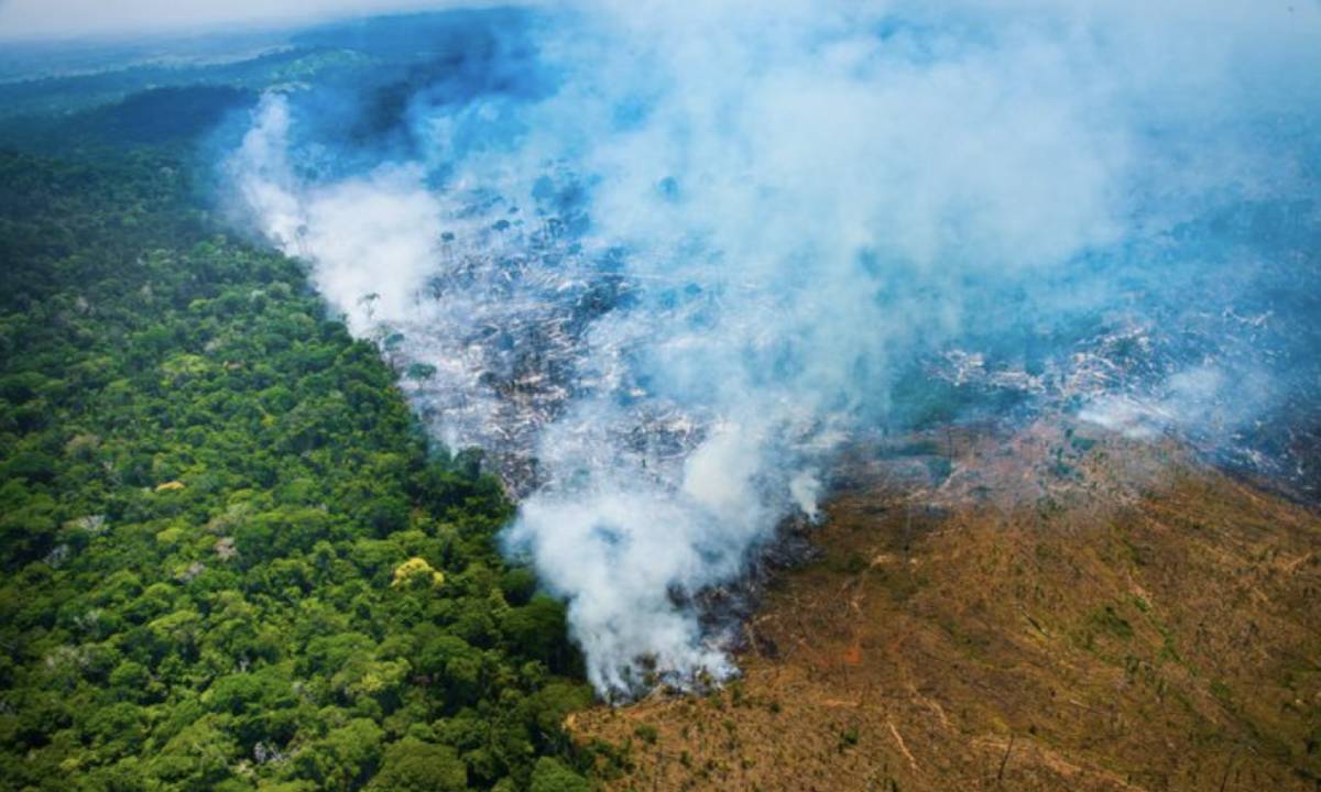 Número de áreas queimadas no Brasil cai 65,8% no primeiro semestre – CartaCapital