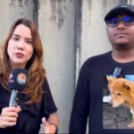 LEMBRA DELA? Cadelinha Dora é resgatada em estado grave e ganha nova chance após apelo no Alô Juca 