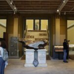 Museu Nacional do Rio reabre parcialmente sete anos após incêndio