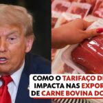 As ‘supervacas’ que fizeram do Brasil o maior exportador de carne do mundo