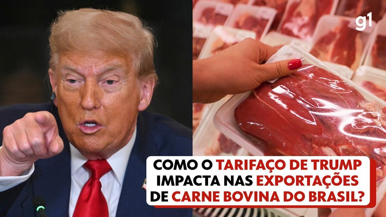 As ‘supervacas’ que fizeram do Brasil o maior exportador de carne do mundo