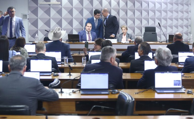 Instalação e eleição. Senadora, Tereza Cristina (PP-MS)