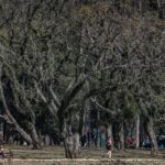 Cidade de São Paulo tem o agosto mais seco desde 2020 – CartaCapital