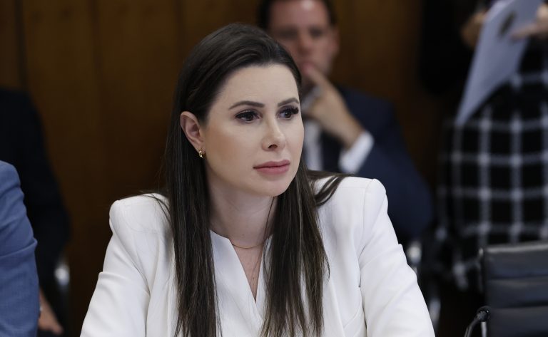 Reunião de Líderes. Dep. Caroline de Toni (PL - SC)