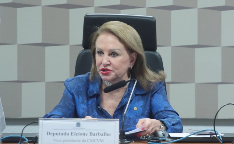 Deputada Elcione Barbalho fala ao microfone