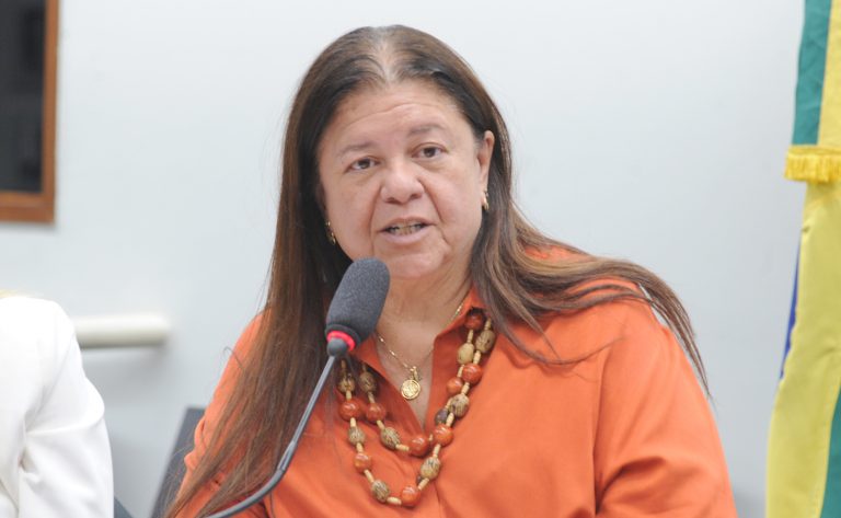 Deputada Laura Carneiro (PSD-RJ) fala em comissão da Câmara dos Deputados