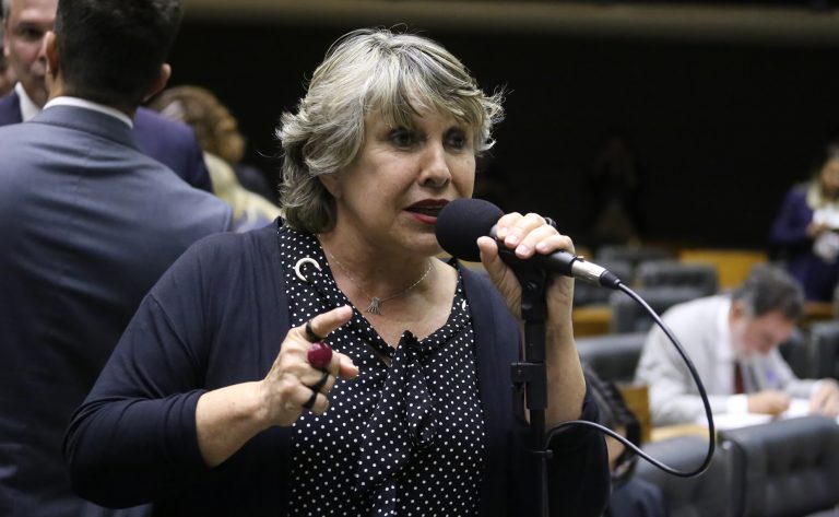Discussão e Votação de Propostas Legislativas. Dep. Erika Kokay (PT - DF)