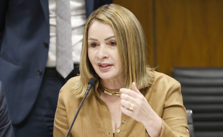 Reunião de Líderes. Dep. Socorro Neri (PP - AC)