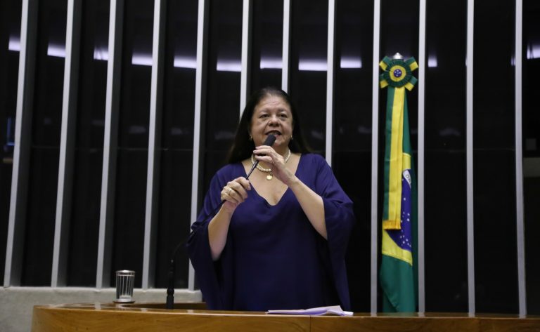 Deputada Laura Carneiro fala ao microfone. Ela é branca, tem o cabelo comprido e escuro, veste uma blusa azul-marinho