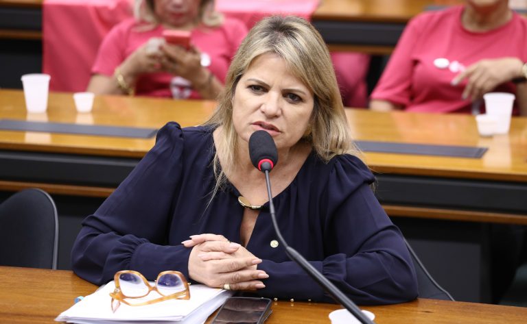 Deputada Flávia Morais (PDT-GO) fala em comissão da Câmara dos Deputados