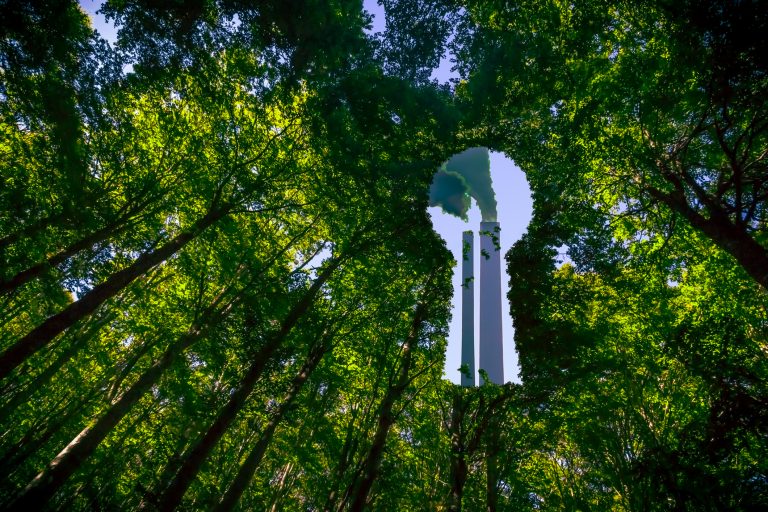 Comissão debate impactos para o consumidor da publicidade ambiental enganosa - Notícias