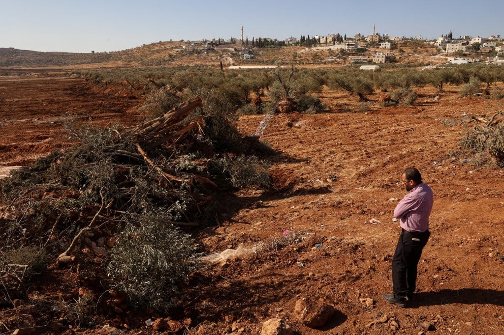 Escavadeiras israelenses arrancam centenas de árvores de palestinos na Cisjordânia – CartaCapital