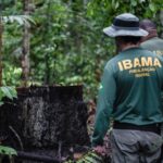 Garimpeiros atacam servidores do Ibama e policiais durante operação em Terra Indígena – CartaCapital