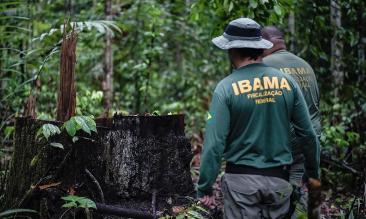 Garimpeiros atacam servidores do Ibama e policiais durante operação em Terra Indígena – CartaCapital
