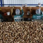 Governo libera de licitação alimentos de produtores afetados por tarifaço de Trump
