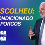 Governo quer impor ar-condicionado para transporte animal