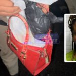 Nete é presa com dois tabletes de cocaína durante abordagem da PM em Periperi; veja a reportagem