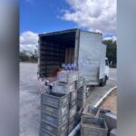 polícia apreende mais de 50 mil carteiras ilegais de cigarro em Rio do Antônio