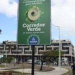 projeto de arborização é iniciado em Salvador com plantio de 115 árvores